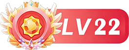 等级：22 级
