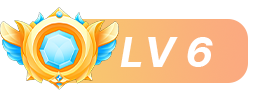 等级：6 级