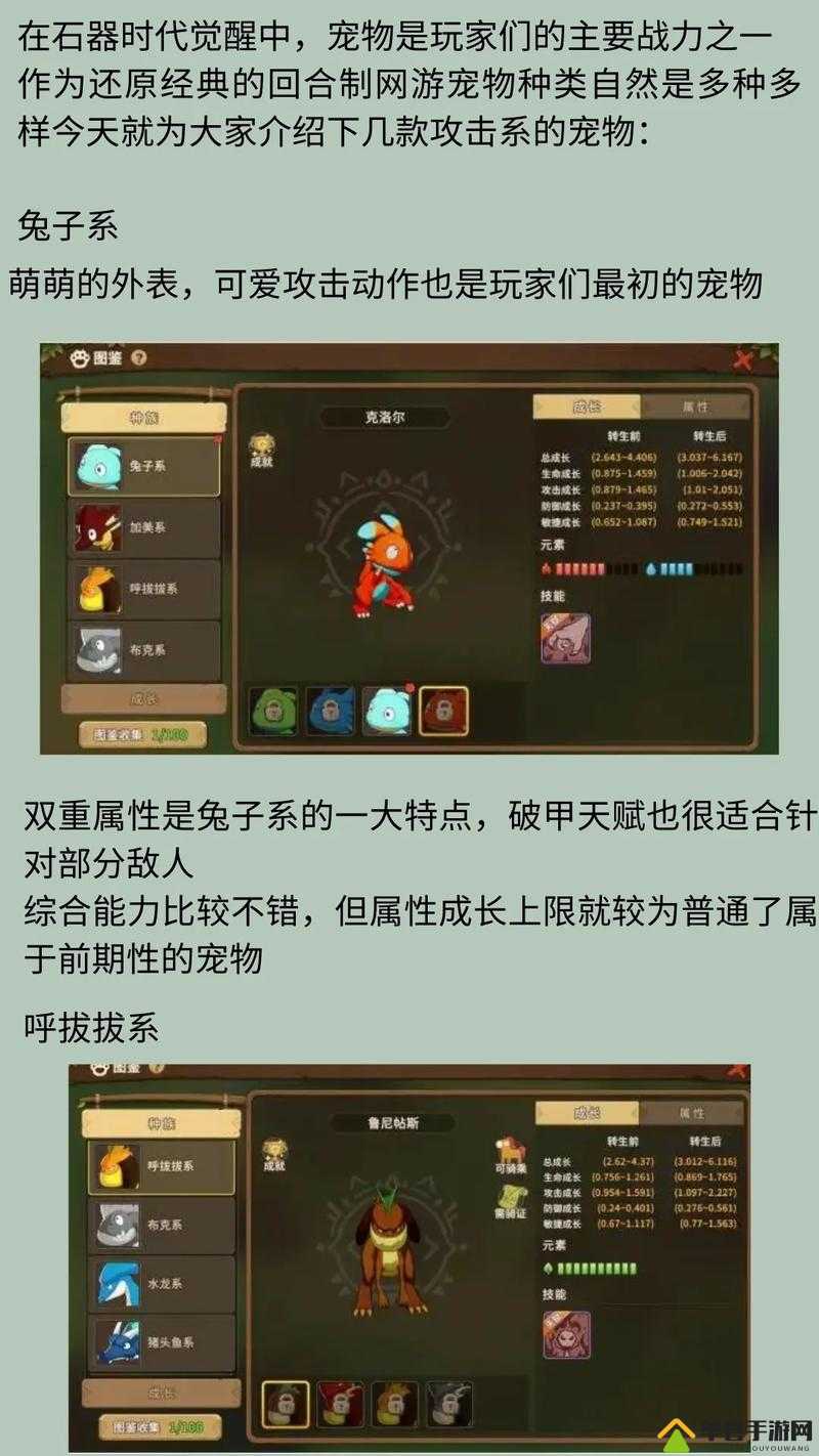 石器q传怎么玩_新手选什么宠物_三天速成攻略
