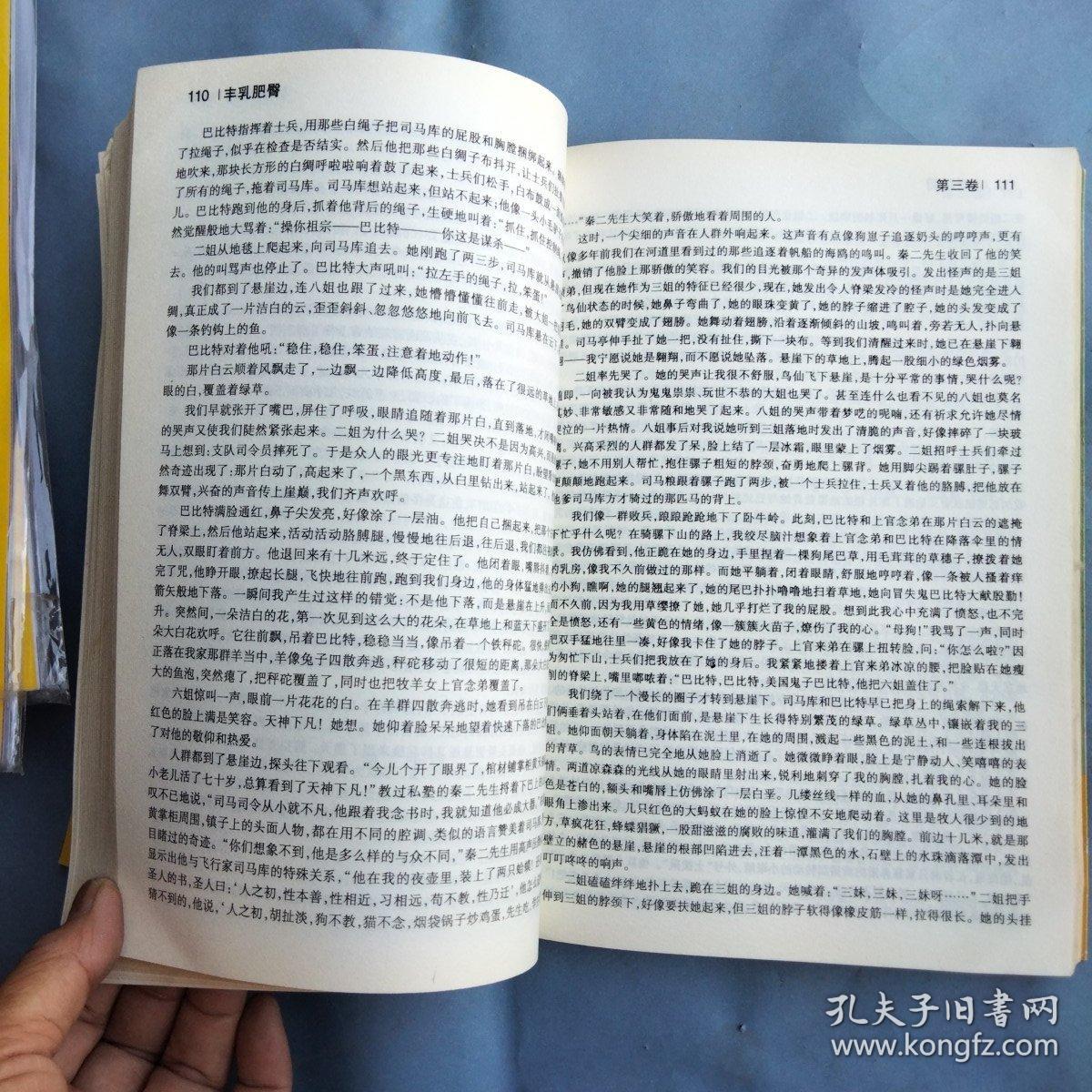 丰乳肥臀txt怎么下载？资源失效_安全获取全流程解析