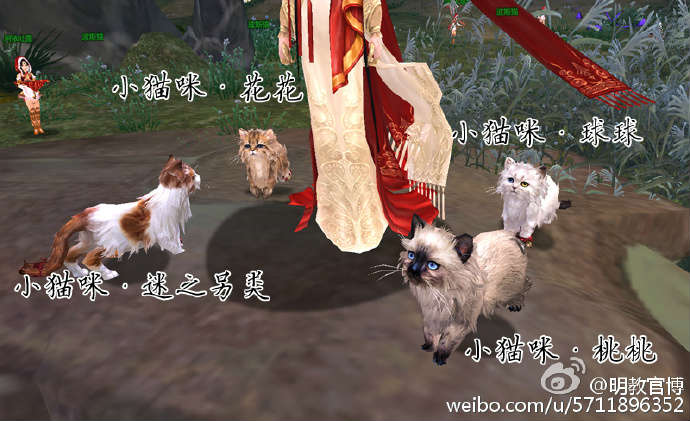 明教圣猫考验总失败怎么办_五粮液贿赂法省3小时通关 明教圣猫考验总失败怎么办_五粮液贿赂法省3小时通关