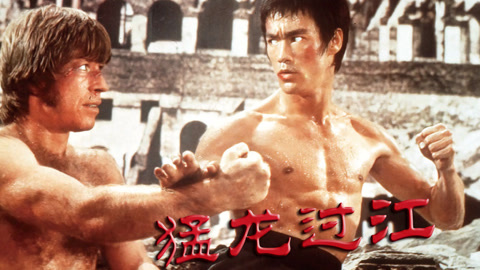 含《猛龙过江》等，亲测能下！