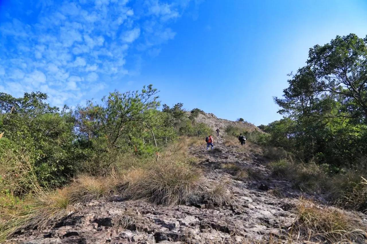 云隐鹤山探秘全攻略,悬崖穿越技巧与隐藏要素解析 云隐鹤山探秘全攻略,悬崖穿越技巧与隐藏要素解析