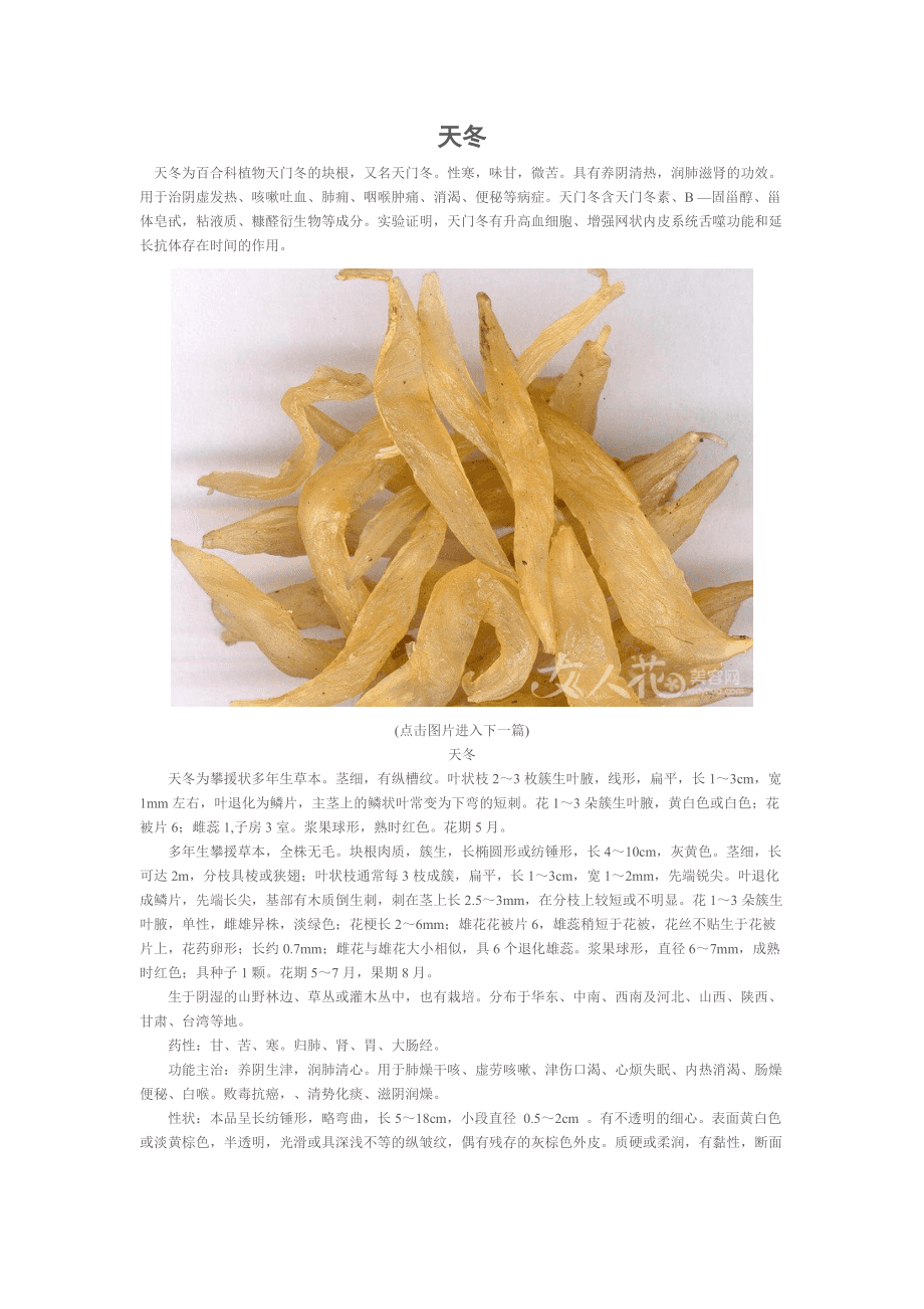 中药材天灵功效与用法