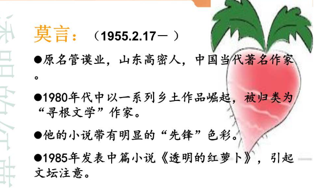 透明红萝卜怎么读？人物关系与意象解析全攻略