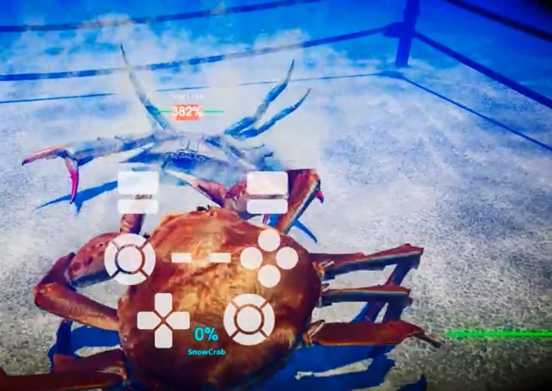 玩蟹科技的游戏到底该怎么上手？