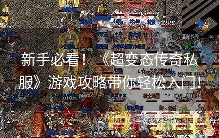 新手如何在超变态传奇私服里一天升到100级？