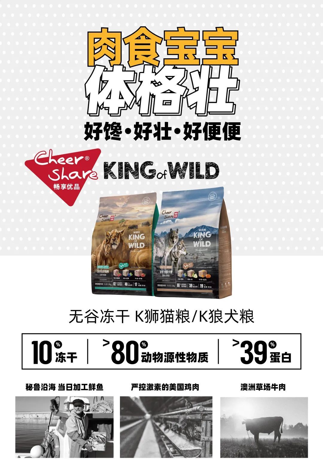 金布勒宠物粮真的能让毛孩子健康又快乐吗？