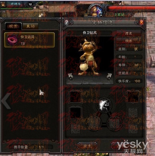 斗战神强力辅助宠物推荐，助你轻松通关副本