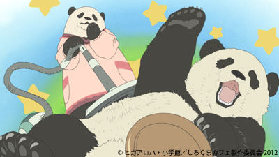 白熊咖啡厅声优_豪华阵容解密_角色塑造避坑指南