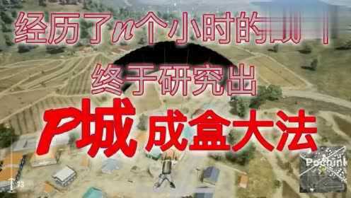 P城办事处生存手册:从快递员到城主的逆袭攻略 P城办事处生存手册:从快递员到城主的逆袭攻略