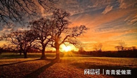 如何重生_从人生低谷到逆袭_自我救赎的三种方法