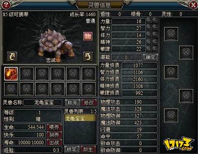 灵兽悟性卡在5级?平民玩家逆袭攻略大公开 灵兽悟性卡在5级?平民玩家逆袭攻略大公开