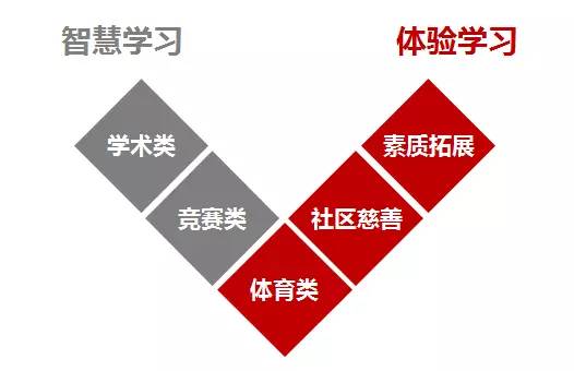 小学生赛高是教育革命还是智商税？课程体系与竞赛成果深度评测
