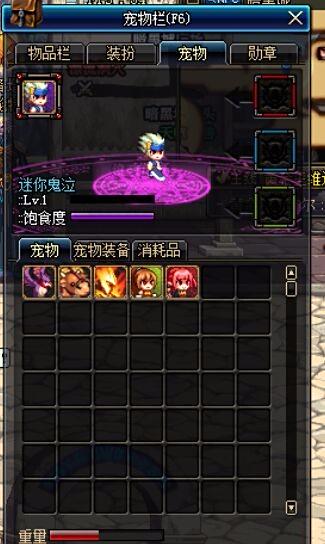 DNF宝宝究竟有哪些类型和获取方式，新手该如何选择？