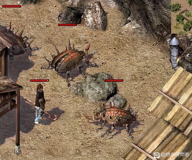 孤月玉兔传奇怎么玩_攻沙战到装备打造_三大生存法则全解析