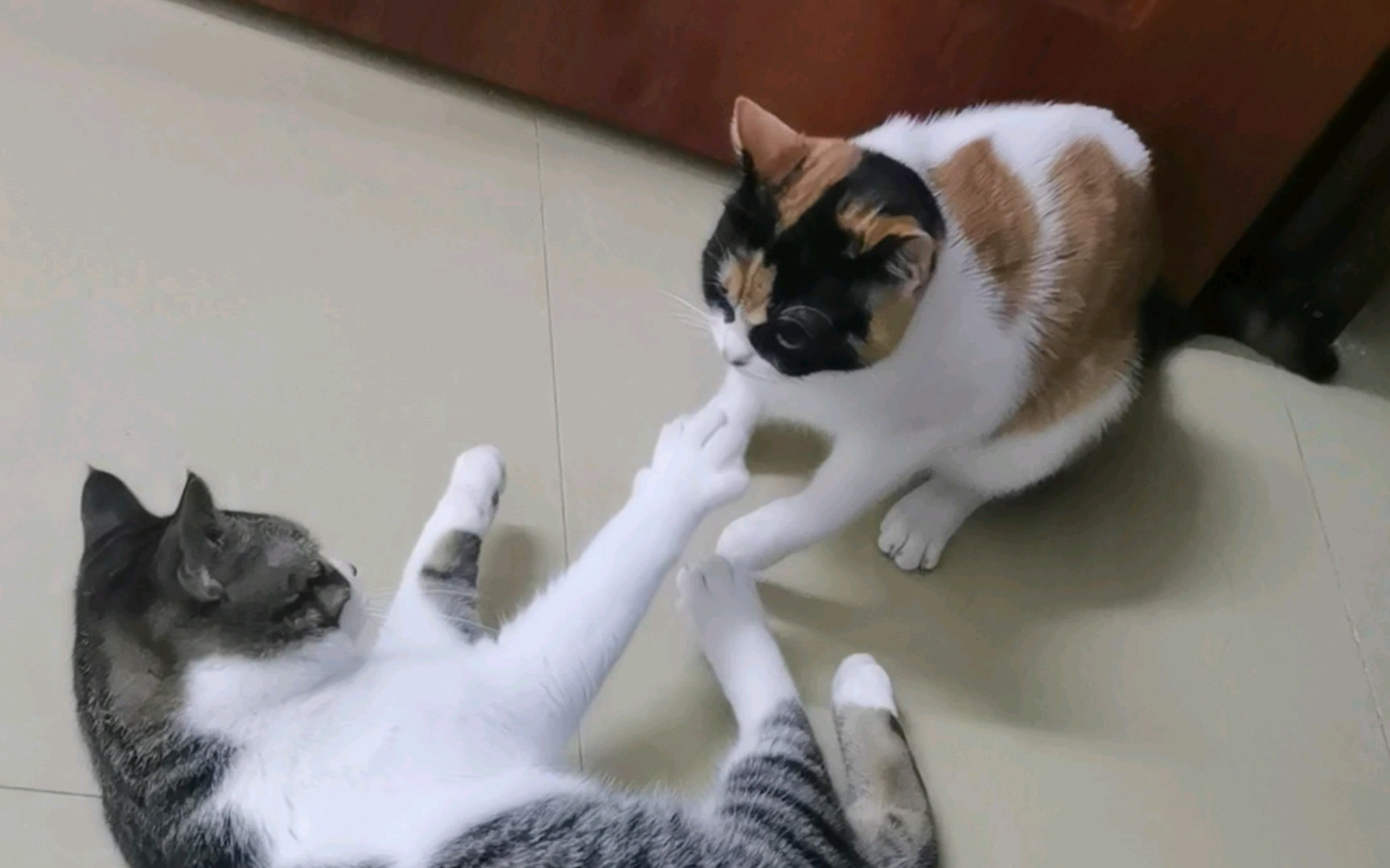 刚进YY横扫天下就被按在地上摩擦？