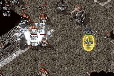 为什么老玩家都盯着今日新开私服？