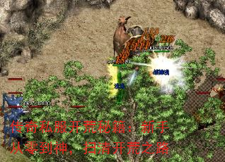 1.76传奇私服新人开荒到底该注意什么? 1.76传奇私服新人开荒到底该注意什么?