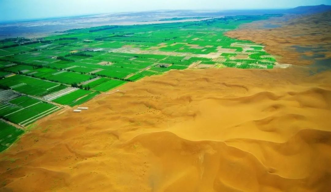 如何在沙漠里造出绿洲? 如何在沙漠里造出绿洲?