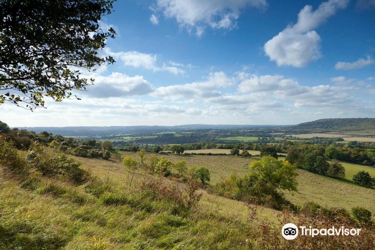 阿什福德平原在哪_草原森林如何交融_生态保护与旅游开发指南