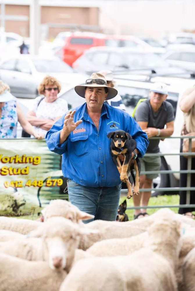 环牧入门指南？新手从零到精通的完整教学