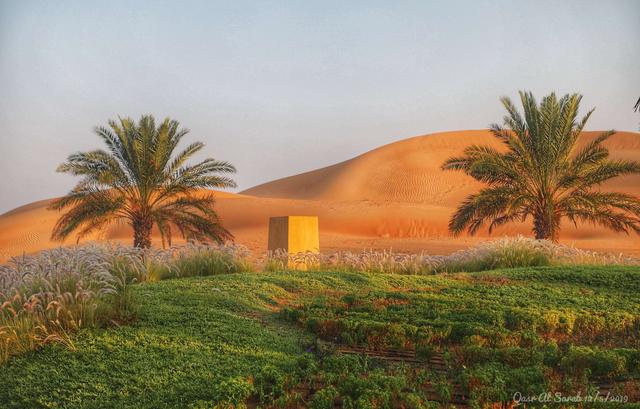 如何在沙漠里造出绿洲? 如何在沙漠里造出绿洲?