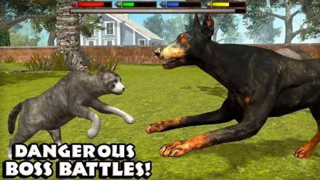 破解版动物模拟器怎么玩?无限内购真相实测,避坑指南全放送 破解版动物模拟器怎么玩?无限内购真相实测,避坑指南全放送