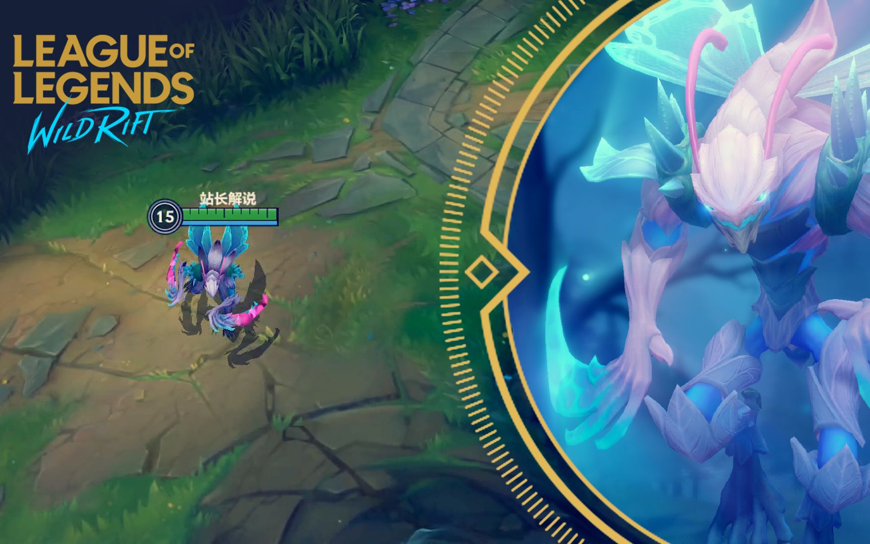 死亡绽放卡兹克为何成为玩家心头好?特效手感深度评测 死亡绽放卡兹克为何成为玩家心头好?特效手感深度评测