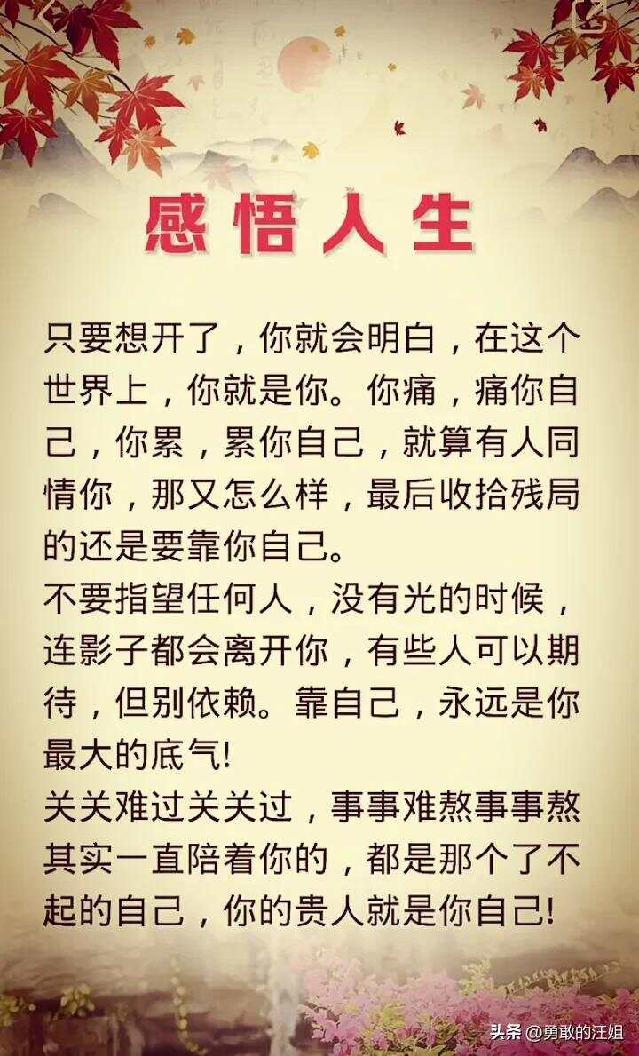 关于人生感悟 关于人生感悟