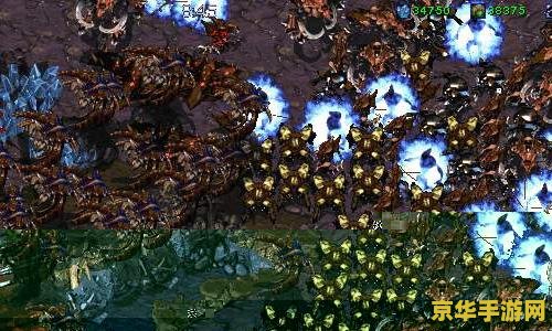 星际争霸1.08官网下载_新手如何避坑提速3天_全流程避雷指南