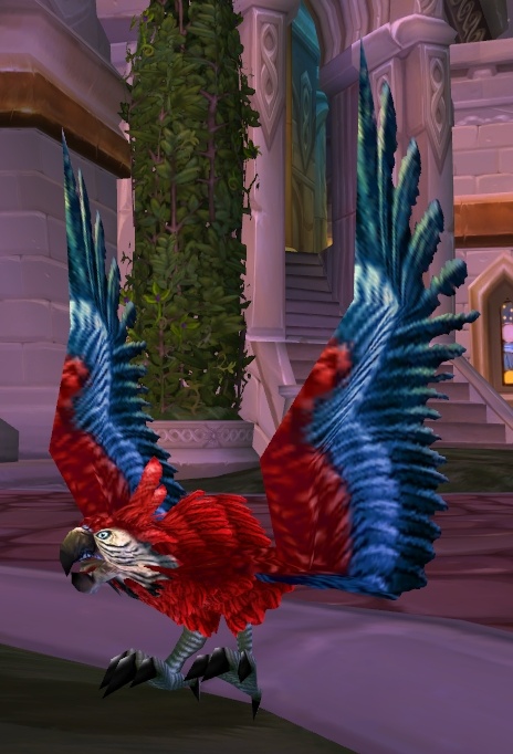 魔兽世界美味鸟翅膀到底怎么刷?新手必看攻略! 魔兽世界美味鸟翅膀到底怎么刷?新手必看攻略!