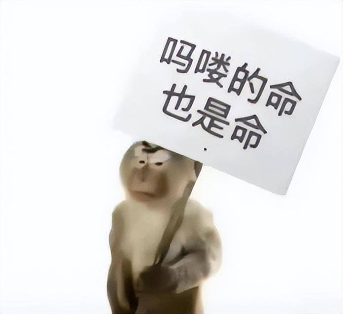 吗喽文化全解析：年轻人的自嘲哲学与逆袭密码，全网最全生存攻略