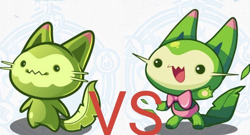 洛克王国喵喵如何三天进化成魔力猫？2025最新练级攻略