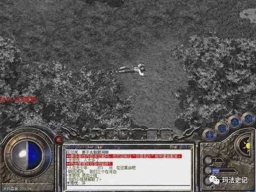 新手玩传奇游戏真的会被老玩家按在地上摩擦吗? 新手玩传奇游戏真的会被老玩家按在地上摩擦吗?