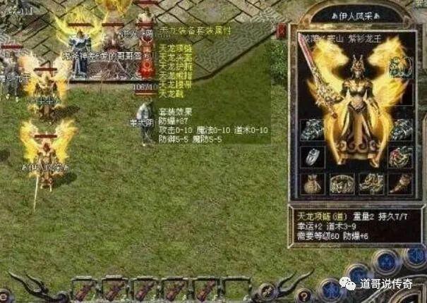 天龙传奇辅助加速器_天龙sf辅助_传奇天龙辅助