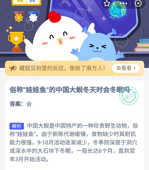 娃娃鱼冬天会冬眠吗？蚂蚁庄园通关攻略，防坑指南