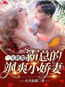 私藏玫瑰小娇妻_婚后遇冷_三招重燃爱火