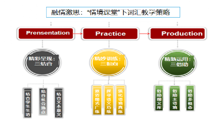 小学生赛高是教育革命还是智商税？课程体系与竞赛成果深度评测