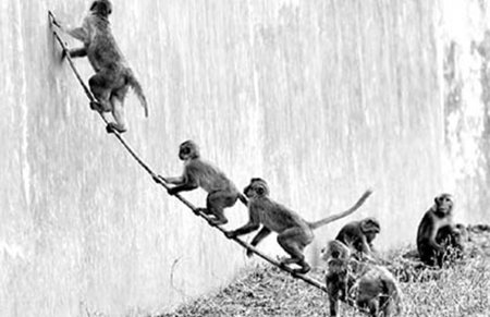 猴子还能这样下楼？物理引擎革新解析，灵猴速降玩法登顶热搜