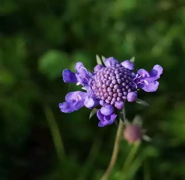 快来看看你认识几个