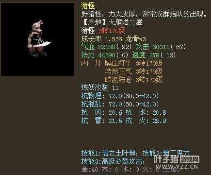 大话二叶子猪怎么玩_避坑三招_日领万元宝攻略