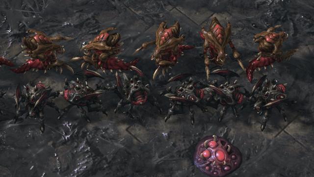 星际争霸1.14版本深度解析，新功能与战术革新全知道