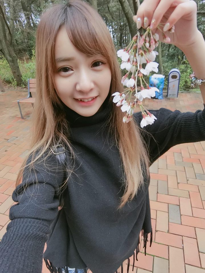 杨小墓到底指什么？从来源到细节，全面解读杨小墓关键信息