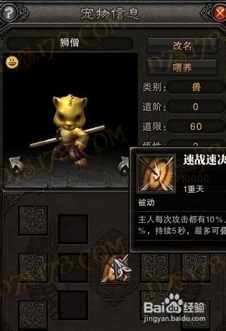 斗战神罗刹带什么宠物？三套方案输出翻倍