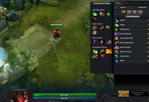 新手必看！PC端DOTA游戏玩法与入门攻略全解析