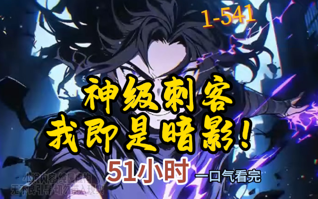 网游：神级刺客，我即是暗影！免费阅读