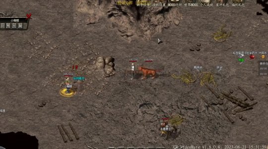 为什么新手在最新传奇3私服里总是被按在地上摩擦？