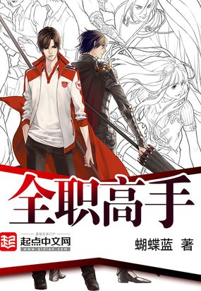 网游之全职高手_小说免费阅读-起点中文网