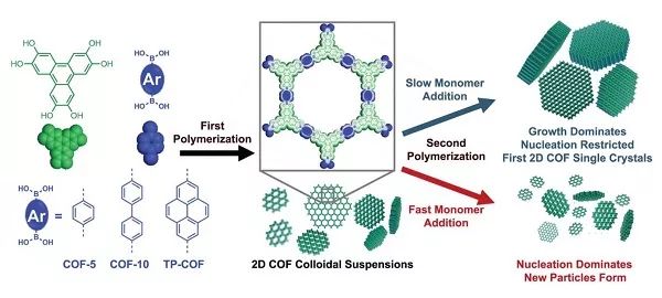 CF02究竟是什么？它如何在科学和工业中多面应用？